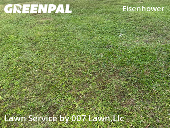 Lawn Mowing Service nearby Lehigh Acres, FL, 