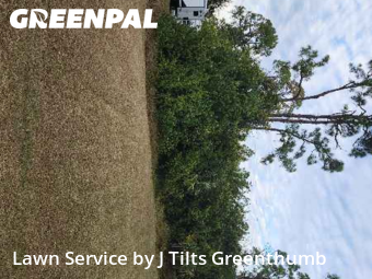 Yard Care in Port Charlotte, 33948, Landscaping Maintenance by J Tilts Greenthumb, work completed in Dec , 2025