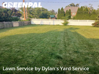 Lawn Cutin Elmhurst,60126,Yard Cutting by Dylan's Yard Service , work completed in Nov , 2025