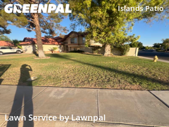 Grass Cutting nearby Gilbert, AZ, 