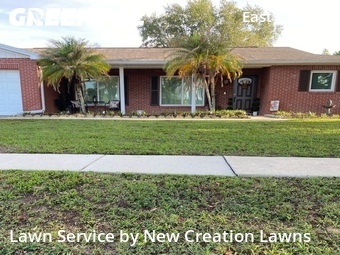 Grass Cut nearby Valrico, FL, 