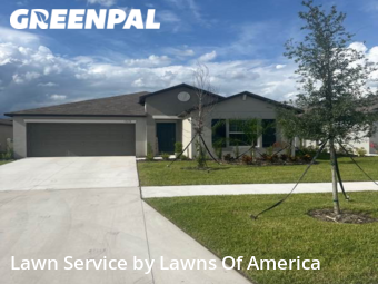 Yard Cutting nearby Wimauma, FL, 