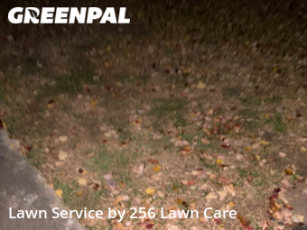 Lawn Mowing nearby Anniston, AL, 