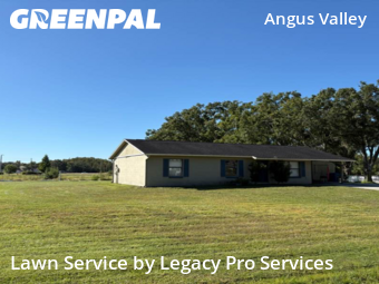 Grass Cutting nearby Zephyrhills, FL, 