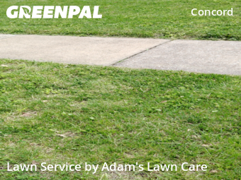 Lawn Maintenance nearby St. Louis, MO, 