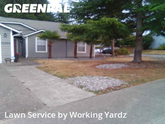 Weed Trimming in Federal Way, 98023, Yard Care Services by Working Yardz, work completed in Nov , 2025