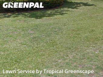 Lawn Cutting nearby Fort Myers, FL, 