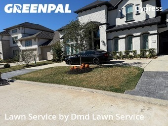 Lawn Carein Cypress,77433,Grass Cutting by Dmd Lawn Service, work completed in Dec , 2025