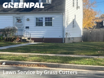 Lawn Management in Dundalk, 21222, Property Maintenance by Grass Cutters , work completed in Nov , 2025