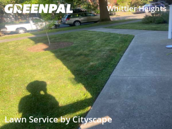 Lawn Service nearby Seattle, WA, 
