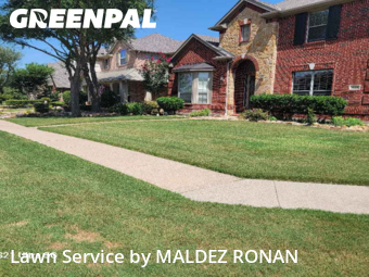 Lawn Cut nearby Allen, TX, 
