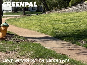 Lawn Mow nearby Wildwood, MO, 