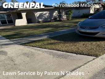 Lawn Cutting nearby Tampa, FL, 