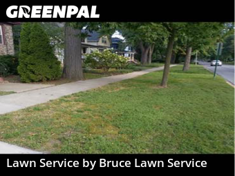 Yard Cuttingin Oak Park,60302,Lawn Maintenance by Bruce Lawn Service, work completed in Nov , 2025