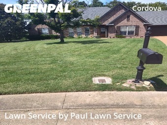 Lawn Cut nearby Oakland, TN, 