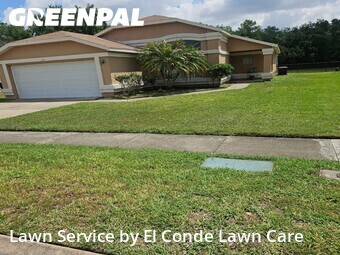 Lawn Cutting nearby Orlando, FL, 