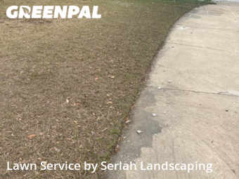 Yard Cutting nearby Orlando, FL, 