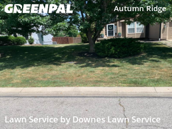 Lawn Care nearby Olathe, KS, 