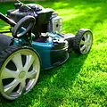 Arizona Lawn King Inc 2