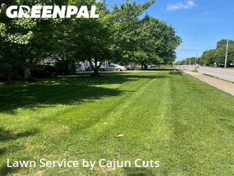 Yard Mowing nearby Murfreesboro, TN, 