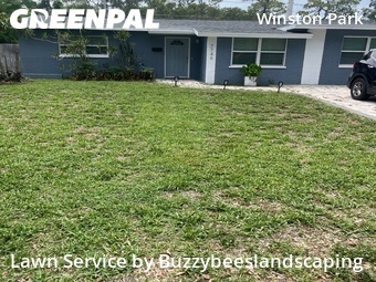 Grass Cutting nearby Saint Petersburg, FL, 