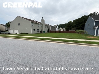 Grass Cut nearby Palmetto, GA, 
