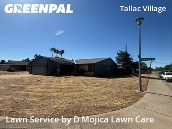 Grass Cutting nearby Sacramento, CA, 