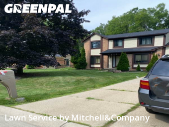 Grass Cut nearby West Bloomfield Township, MI, 