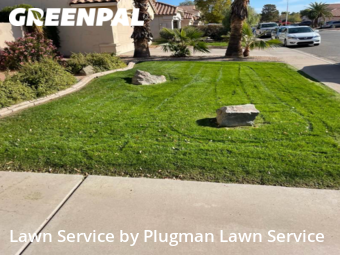 Lawn Cutting nearby Chandler, AZ, 