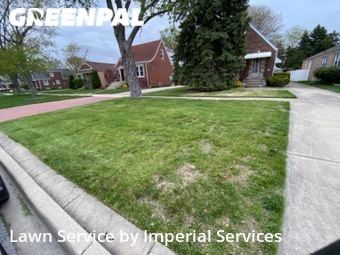Grass Cut nearby Evergreen Park, IL, 