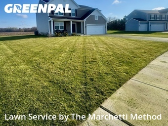 Grass Cut nearby North Aurora, IL, 