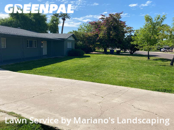 Grass Cut nearby Phoenix, AZ, 