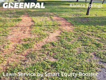 Lawn Mowing Service nearby Cedar Park, TX, 