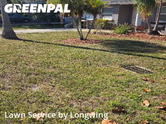 Yard Cuttingin Clearwater,33764,Lawn Service by Longwing, work completed in Jan , 2026