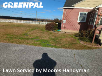 Landscaping Maintenance in Milton, 19968, Mowing Services by Moores Handyman, work completed in Dec , 2025