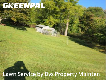 Lawn Upkeep in Newark, 19711, Backyard Mowing by Dvs Property Maint, work completed in Oct , 2025