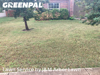 Lawn Mow nearby Hutto, TX, 