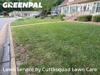 Lawn Cut nearby Virginia Beach, VA, 
