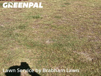 Lawn Care Service nearby Baton Rouge, LA, 