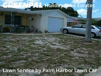 Yard Mowing nearby Holiday, FL, 