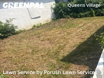 Lawn Service nearby Queens, NY, 