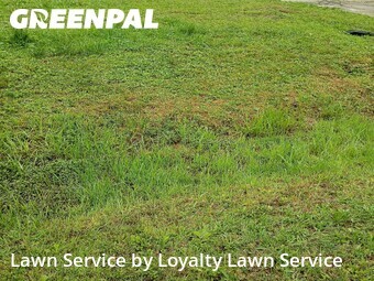 Yard Mowing nearby Rossville, TN, 