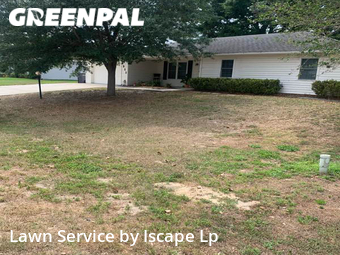 Lawn Maintenance nearby Lakeland, FL, 