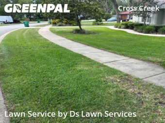 Lawn Cut nearby De Land, FL, 