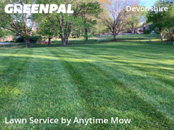 Grass Cut nearby Olathe, MO, 