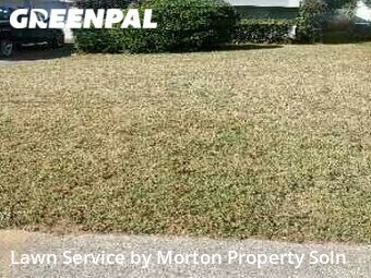 Lawn Cut nearby Acworth, GA, 