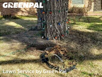 Yard Cutting nearby El Paso, TX, 