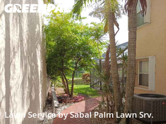 Lawn Cutin Plantation,33322,Grass Cutting by Sabal Palm Lawn Srv., work completed in Dec , 2025