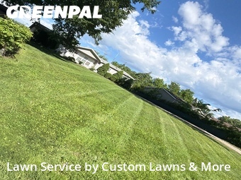 Lawn Mowing Service nearby Wayne, MI, 