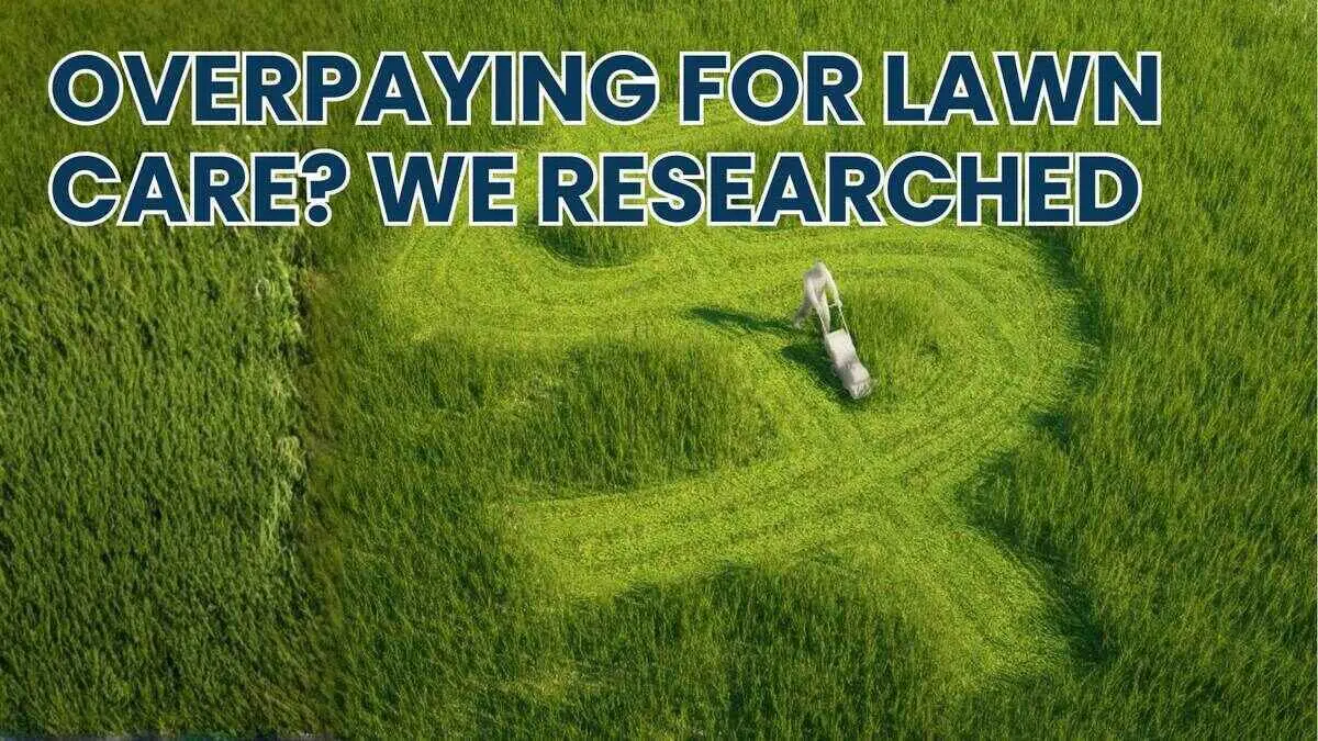 Paying too much lawn care? We have done the research